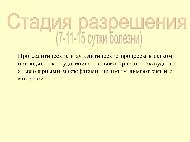 Стадия разрешения (7-11-15 сутки болезни) Протеолитические и аутолитические процессы в легком