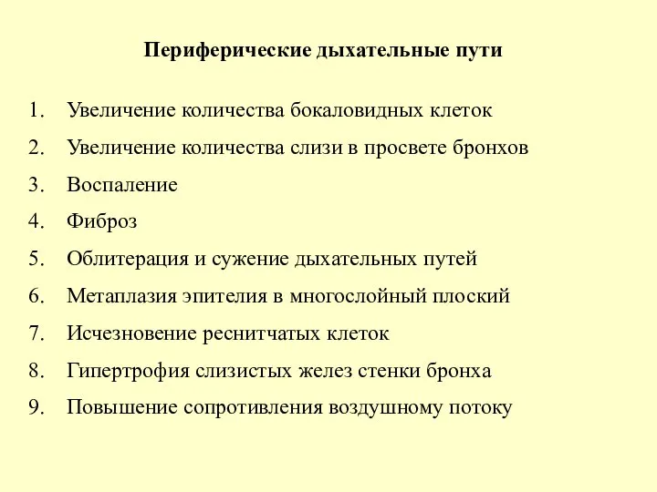 Периферические дыхательные пути Увеличение количества бокаловидных клеток Увеличение количества слизи в