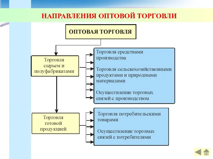 НАПРАВЛЕНИЯ ОПТОВОЙ ТОРГОВЛИ