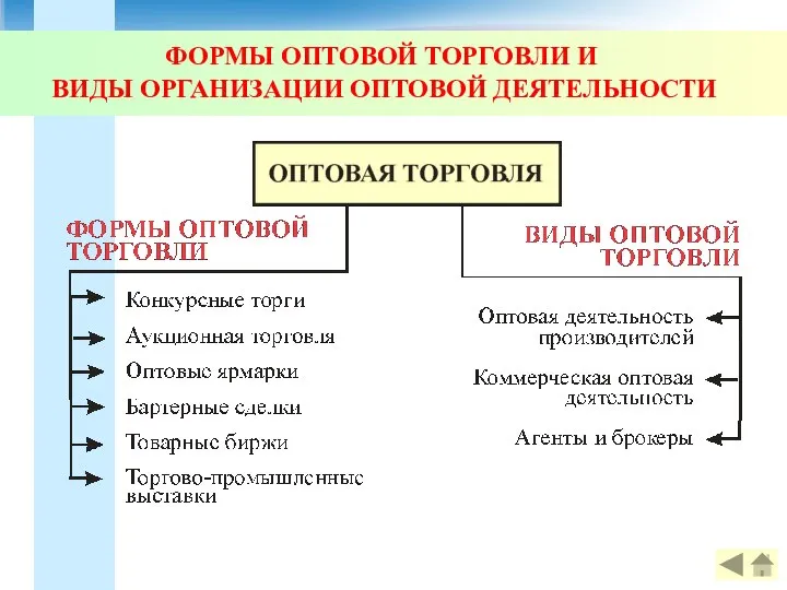 ФОРМЫ ОПТОВОЙ ТОРГОВЛИ И ВИДЫ ОРГАНИЗАЦИИ ОПТОВОЙ ДЕЯТЕЛЬНОСТИ