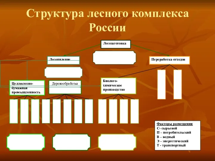 Структура лесного комплекса России