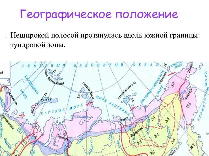 Неширокой полосой протянулась вдоль южной границы тундровой зоны. Географическое положение