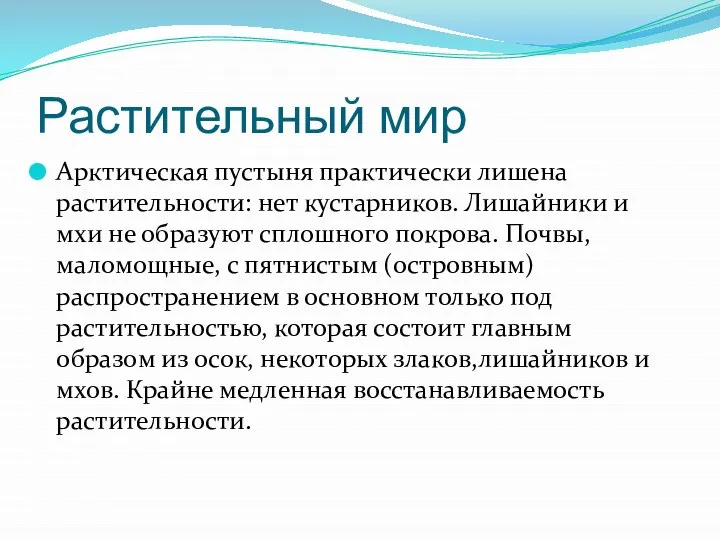 Растительный мир Арктическая пустыня практически лишена растительности: нет кустарников. Лишайники и