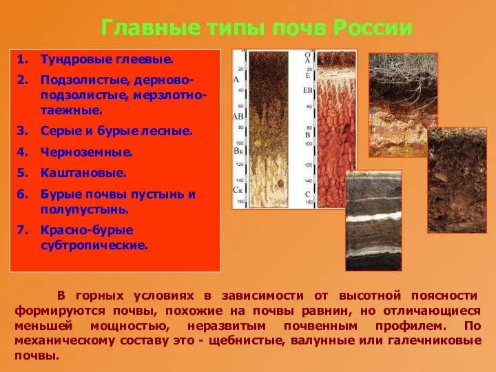 Главные типы почв России Тундровые глеевые. Подзолистые, дерново-подзолистые, мерзлотно-таежные. Серые и