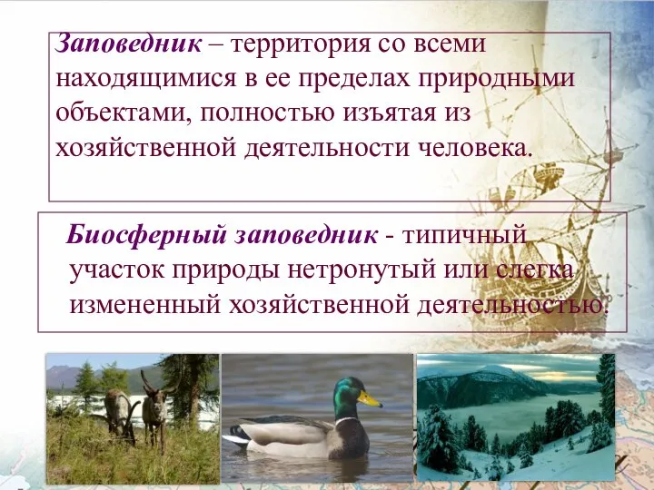 Заповедник – территория со всеми находящимися в ее пределах природными объектами,