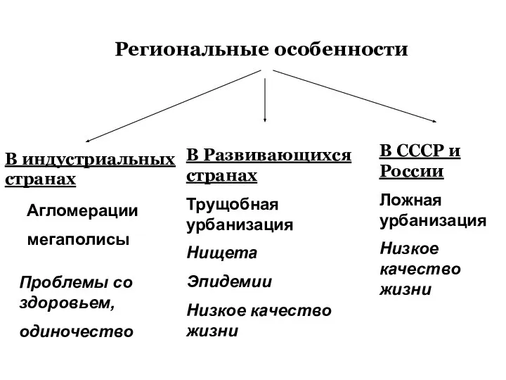 Региональные особенности В индустриальных странах Агломерации мегаполисы В Развивающихся странах Трущобная