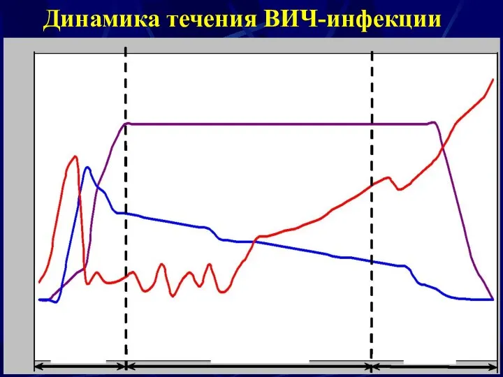 Динамика течения ВИЧ-инфекции