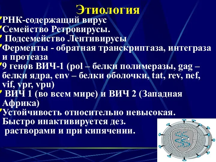 Этиология РНК-содержащий вирус Семейство Ретровирусы. Подсемейство Лентивирусы Ферменты - обратная транскриптаза,