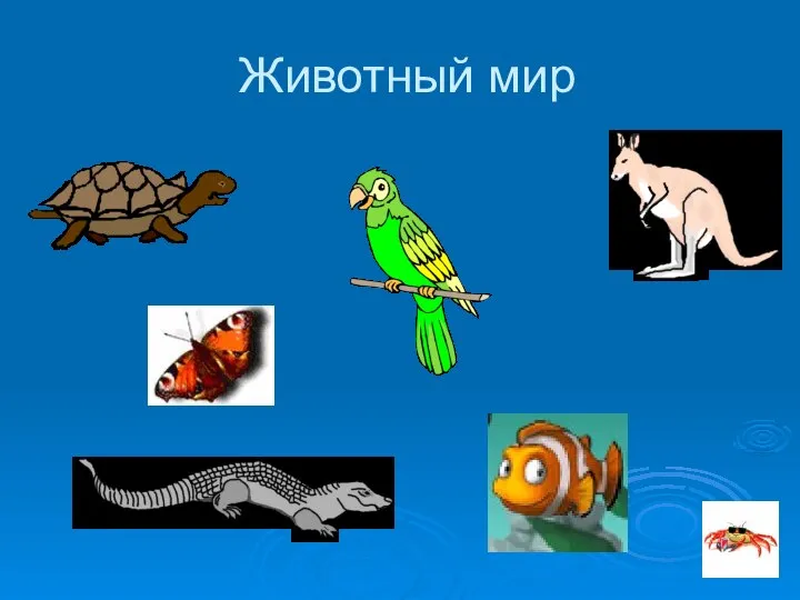 Животный мир