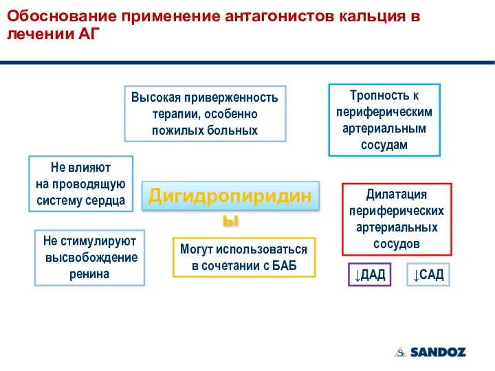 Обоснование применение антагонистов кальция в лечении АГ Тропность к периферическим артериальным