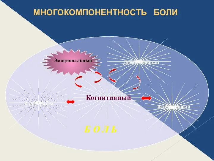 МНОГОКОМПОНЕНТНОСТЬ БОЛИ