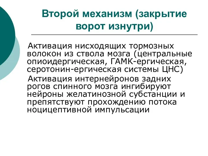 Второй механизм (закрытие ворот изнутри) Активация нисходящих тормозных волокон из ствола