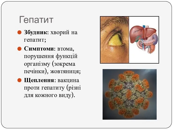 Гепатит Збудник: хворий на гепатит; Симптоми: втома, порушення функцій організму (зокрема