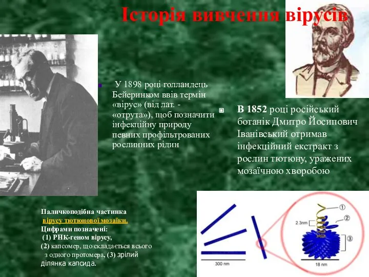 В 1852 році російський ботанік Дмитро Йосипович Іванівський отримав інфекційний екстракт