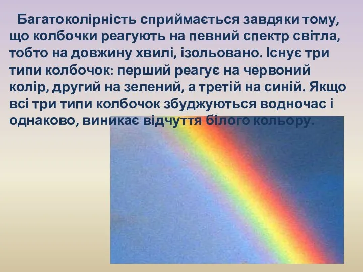 Багатоколірність сприймається завдяки тому, що колбочки реагують на певний спектр світла,