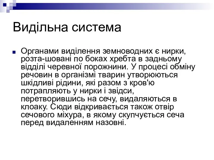 Видільна система Органами виділення земноводних є нирки, розта-шовані по боках хребта