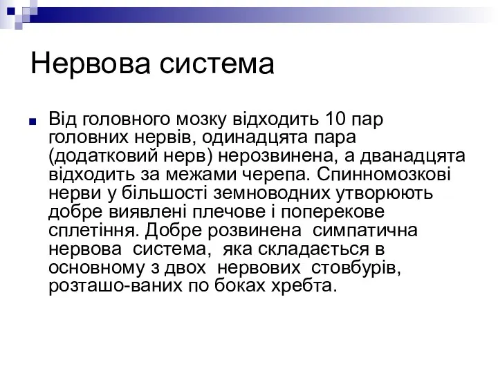 Нервова система Від головного мозку відходить 10 пар головних нервів, одинадцята