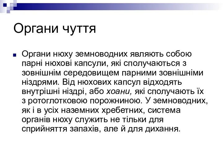 Органи чуття Органи нюху земноводних являють собою парні нюхові капсули, які