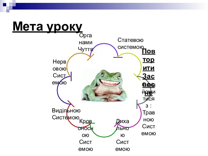 Мета уроку Видільною Системою Статевою системою