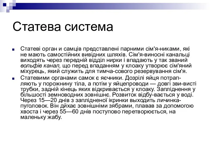 Статева система Статеві орган и самців представлені парними сім'я-никами, які не