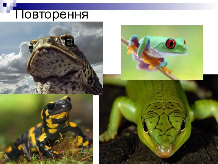 Повторення