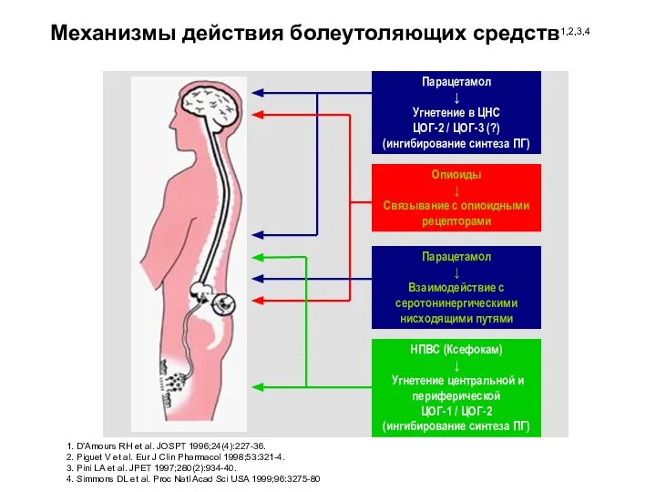 Механизмы действия болеутоляющих средств1,2,3,4 1. D’Amours RH et al. JOSPT 1996;24(4):227-36.