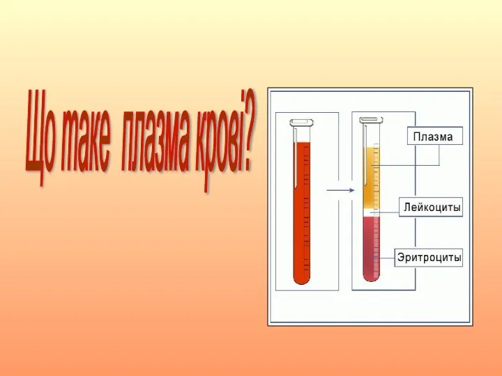 Що таке плазма крові?