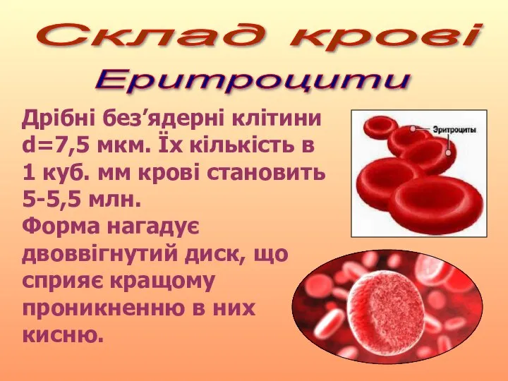 Склад крові Еритроцити Дрібні без’ядерні клітини d=7,5 мкм. Їх кількість в