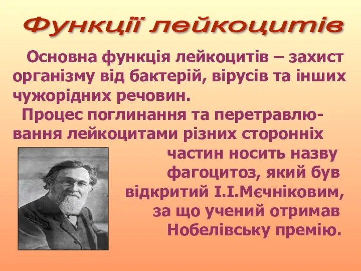 Функції лейкоцитів Основна функція лейкоцитів – захист організму від бактерій, вірусів