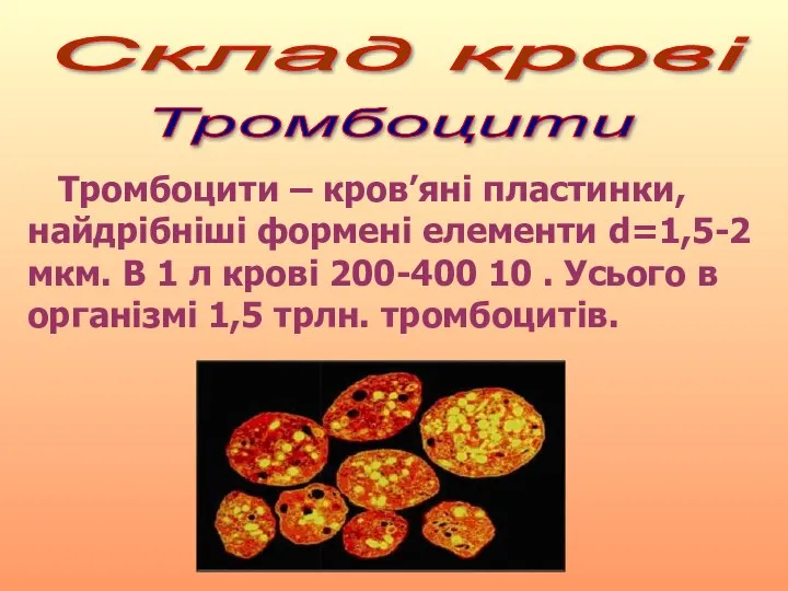 Склад крові Тромбоцити Тромбоцити – кров’яні пластинки, найдрібніші формені елементи d=1,5-2