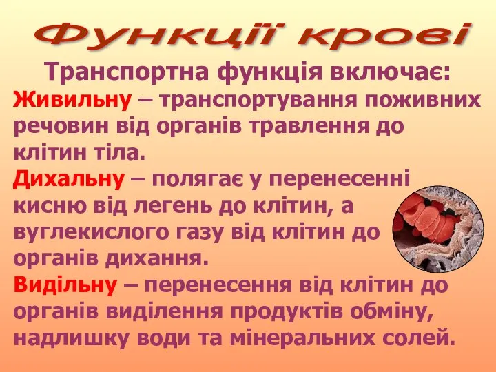 Функції крові Транспортна функція включає: Живильну – транспортування поживних речовин від