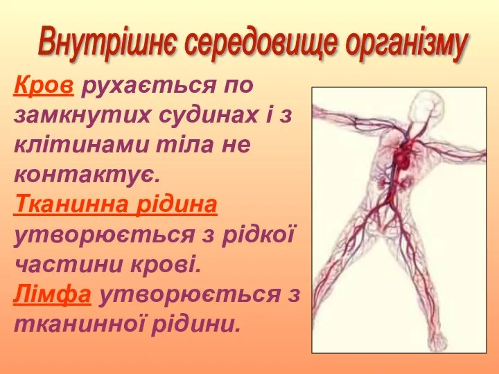 Кров рухається по замкнутих судинах і з клітинами тіла не контактує.