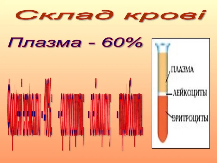 Склад крові Плазма - 60% Формені елементи - 40%: - еритроцити; - лейкоцити; - тромбоцити.