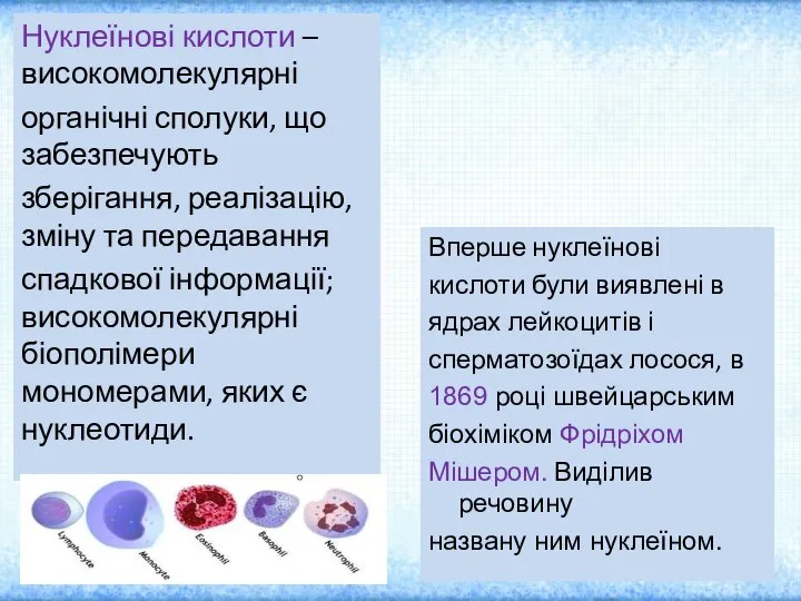 Нуклеїнові кислоти – високомолекулярні органічні сполуки, що забезпечують зберігання, реалізацію, зміну