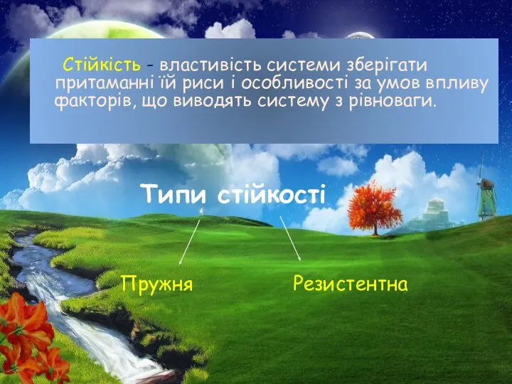 Стійкість - властивість системи зберігати притаманні їй риси і особливості за