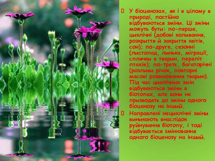 У біоценозах, як і в цілому в природі, постійно відбуваються зміни.