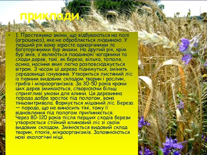 приклади. 1. Простежимо зміни, що відбуваються на полі (агроценоз), яке не