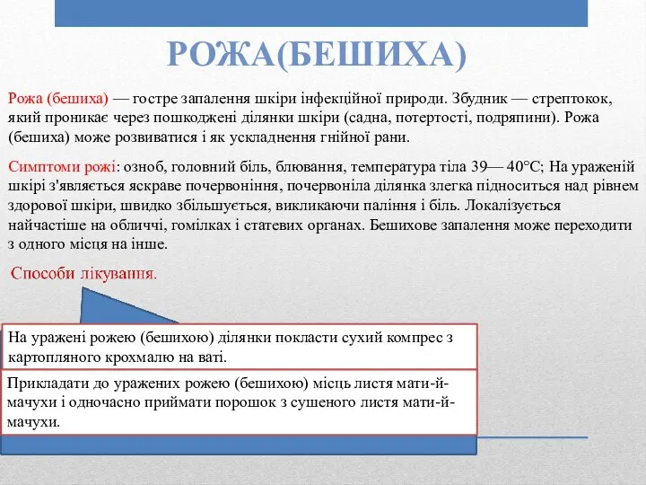 Рожа(бешиха) Рожа (бешиха) — гостре запалення шкіри інфекційної природи. Збудник —