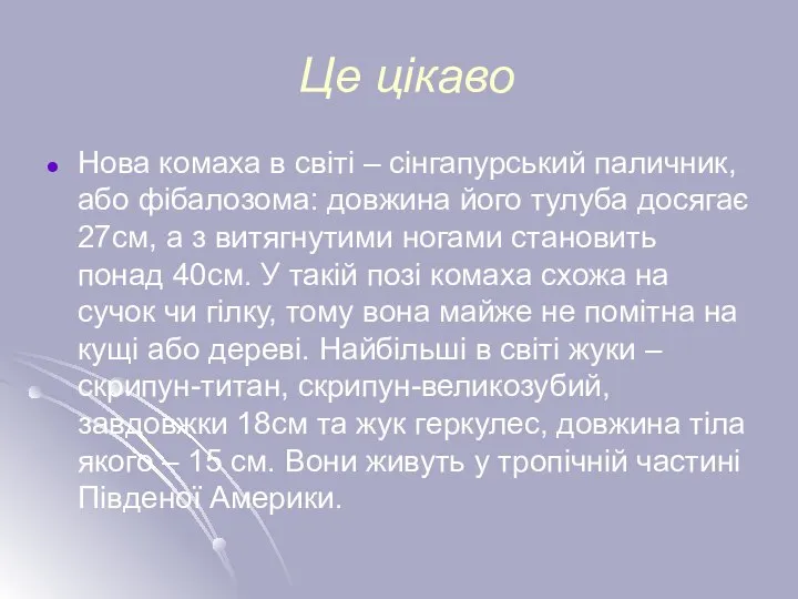 Це цікаво Нова комаха в світі – сінгапурський паличник, або фібалозома: