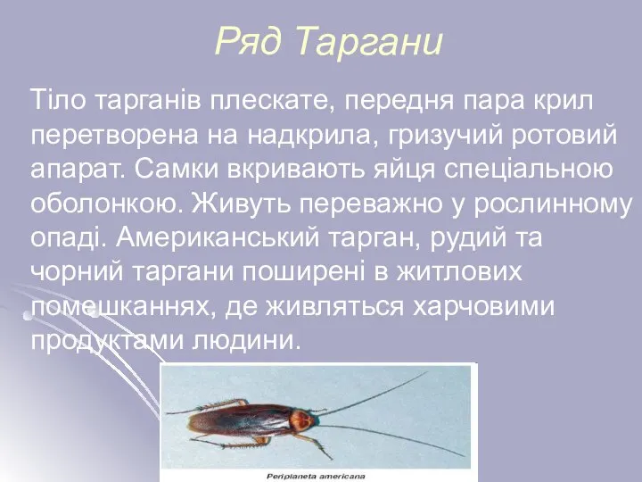 Ряд Таргани Тіло тарганів плескате, передня пара крил перетворена на надкрила,