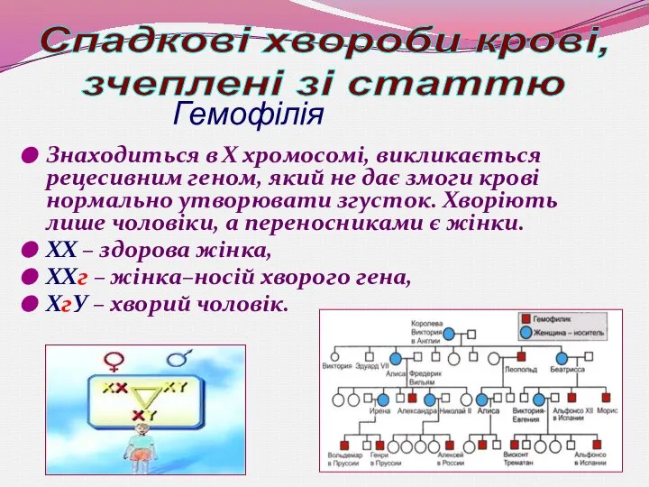 Гемофілія Знаходиться в Х хромосомі, викликається рецесивним геном, який не дає