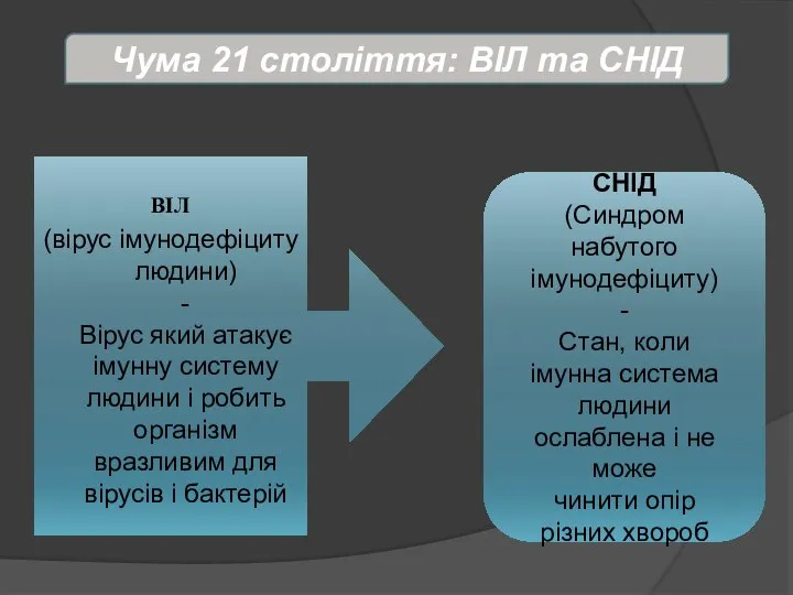 Чума 21 століття: ВІЛ та СНІД ВІЛ (вірус імунодефіциту людини) -