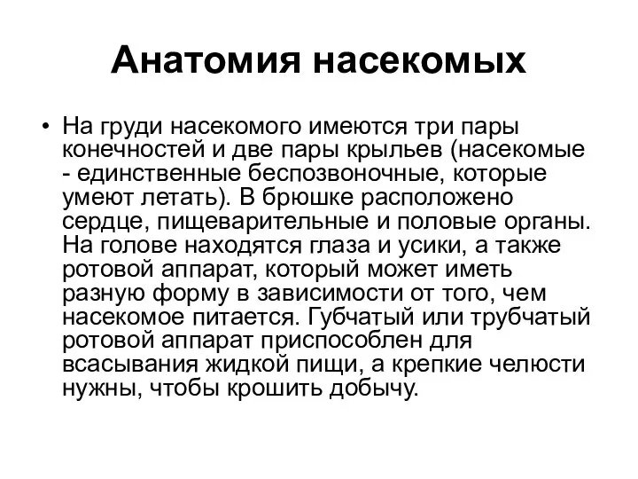 Анатомия насекомых На груди насекомого имеются три пары конечностей и две