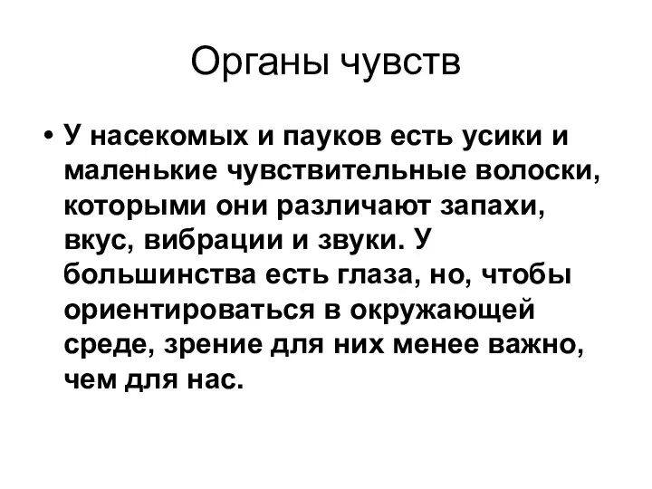 Органы чувств У насекомых и пауков есть усики и маленькие чувствительные