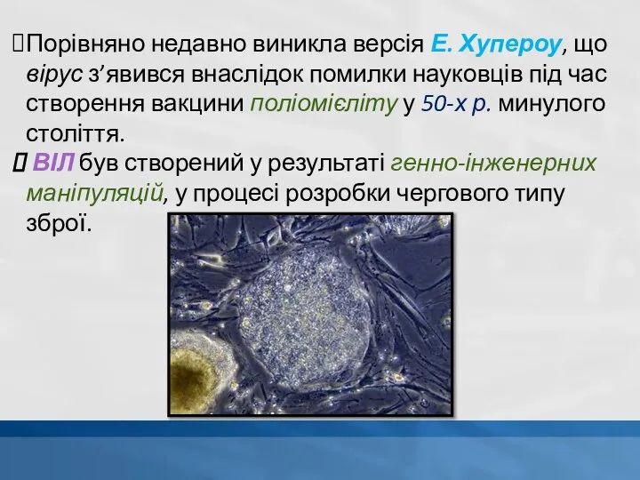 Порівняно недавно виникла версія Е. Хупероу, що вірус з’явився внаслідок помилки