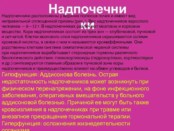 Надпочечники Надпочечники расположены у верхних полюсов почек и имеют вид неправильной