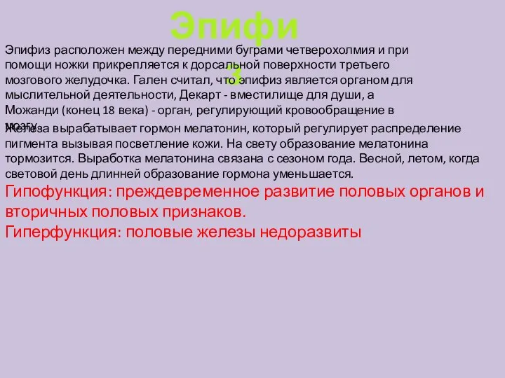 Эпифиз Эпифиз расположен между передними буграми четверохолмия и при помощи ножки