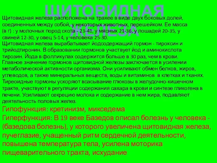 ЩИТОВИДНАЯ ЖЕЛЕЗА Щитовидная железа расположена на трахее в виде двух боковых