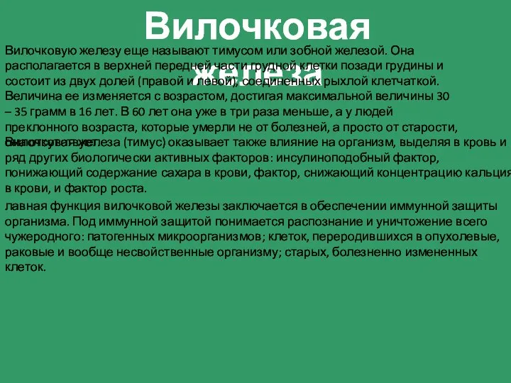 Вилочковая железа Вилочковую железу еще называют тимусом или зобной железой. Она