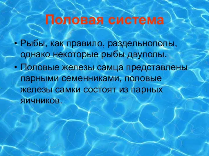 Половая система Рыбы, как правило, раздельнополы, однако некоторые рыбы двуполы. Половые